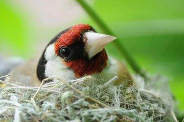 3 Day Bird Watching and Hiking Adventure