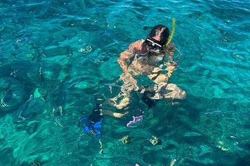 Roatan Sloth Park, City Tour And Snorkeling