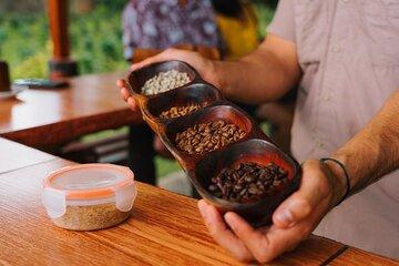 Chocolate Coffee Sugarcane Tours