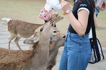 Walking Guided Tour through Nara (Entrance Fee Included)