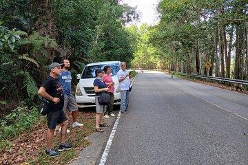 Kampot Bokor Tour By Eco Lotus Kampot