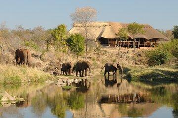 Johannesburg to Zambezi Multi Day Tour Adventure