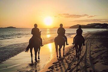 Ibiza Private Horseback Riding Tour on the Beach with Cava