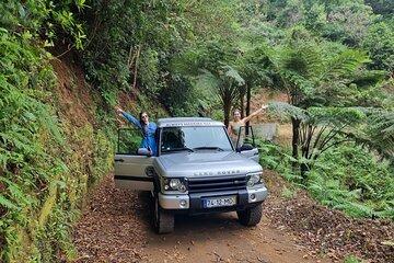 Private 4x4 Jeep Half-Day Tour - "Jurassic Park"