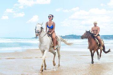 Ride on a Horse at the beach Plus Lunch - Puerto plata city