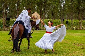 Lima Buffet Lunch, Dance Show and Peruvian Paso Horses