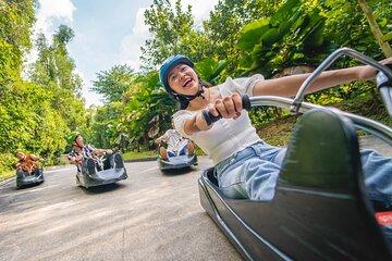 Skyline Luge Singapore Ticket