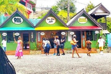 Bob Marley & Nine Mile Heritage Tour with transportation
