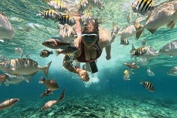 Excursion to the Islands of Rosario Aquarium and Playa Blanca de Barú