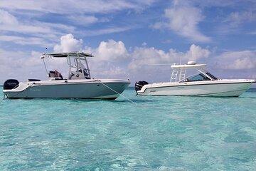 Stingray Snorkel