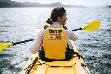 Picton Morning Guided Kayak with Afternoon Boat Cruise Tour