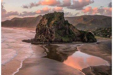 Private Piha Beach, Rainforest Adventure & Mt. Eden with Guide
