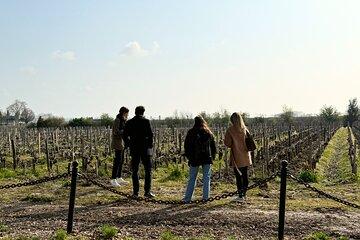 Medoc 1855 individual Half Day Wine Tour