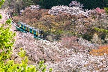 North Ibaraki Tour Lunch & Entrance fee included