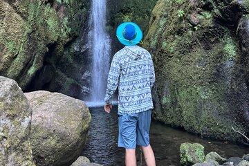 Private Waterfall Hiking in Madeira 4 Spectacular Waterfalls