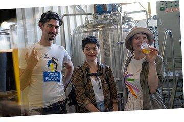 Brlog Brewery Tour and Beer Tasting with Snack