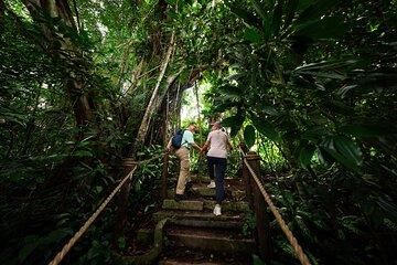 Singapore Rainforest Wild Asia Ticket