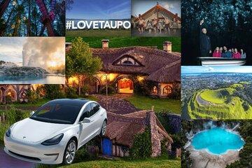 Private 3 Day Driver with Tesla M3 Customizable North Island Tour