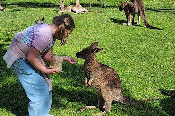 Discover Adelaide Hills Cruise Minibus Day Trip