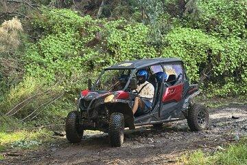 Trail Thrill Buggy Adventure in the Laurisilva Forest