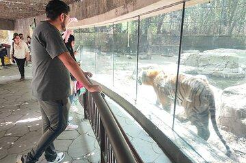 Chapultepec Forest Private Tour