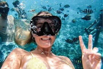Yanbu Day Trip from Jeddah Snorkeling and Diving
