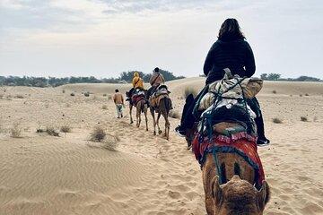 Explore Thar Desert with Camping Ride