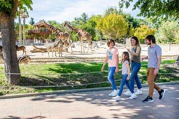Zoo Aquarium Madrid Admission Ticket