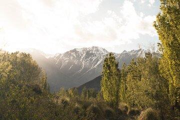 Maipu or Lujan de Cuyo Wineries Visiting Mendoza by Private Sedan
