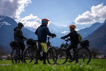 Scenic E Bike Tour Interlaken