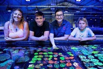 One Hour Coral Farm Tour, Discover Australia's Marine Life