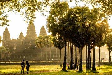 Angkor Thom Ta Prohm and Sunset in Angkor Wat Golden Hour Tour
