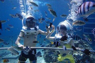 Bali Private Seawalker watersport