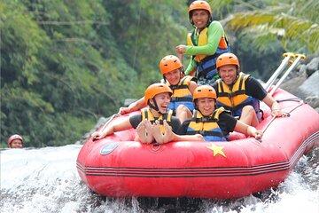 Rafting Adventure 18 km and Balinese Village Life Tour with Lunch