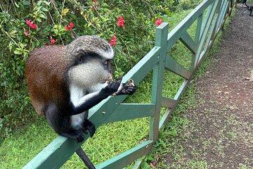 ️Spice Island Private Tour Experience