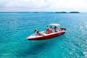 Private Sightseeing Boat Tour at Aruba with Snorkeling & Swimming