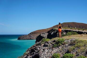 Balandra by Sea Wildlife and Snorkeling from Pichilingue