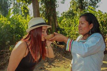 Ecuador 6 Days Andes and Amazon Adventure from Quito