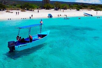 Boat Tour to Bay of Eagles