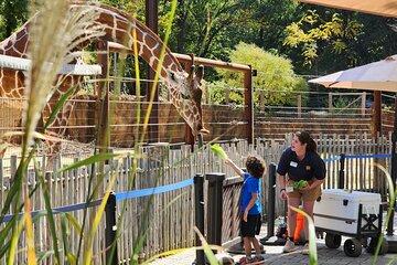 Zoo Atlanta Admission Ticket