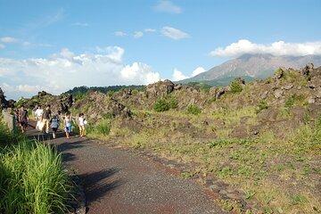 Volcano Tourism Volcano Tour & Camellia Oil Extraction Workshop