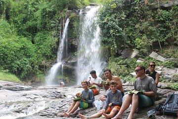 Chiang Mai 1 Day: Elephant Sanctuary, Waterfall & Bamboo Rafting
