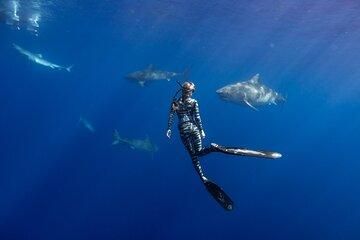 Haleiwa Ocean Adventure: Dive and Explore