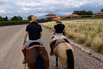 Horseback riding in Mendoza through the vineyards and tasting