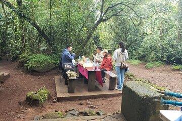 Marangu Route Day Hike on Kilimanjaro