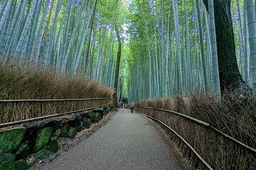 Full Day Kyoto Private Customizable Tour