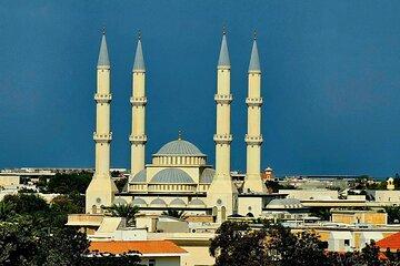 Blue Mosque & Hidden Gems from Dubai City Tour