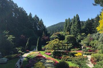 Victoria Private Tour Visiting City and Butchart Gardens