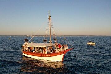 Lim Bay and Pirate Cave with Lunch Boat Tour from Porec