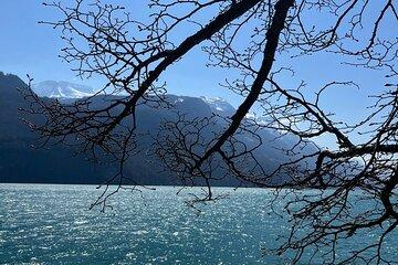 Interlaken Brienz Lauterbrunnen Blausee Tour for 1 to 8 Person